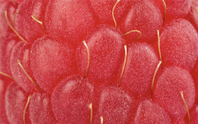 God is in the details (according to Jonas, Elon and Mies)